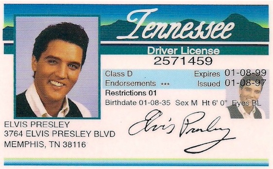 Novelt Celebrity Id Cards
